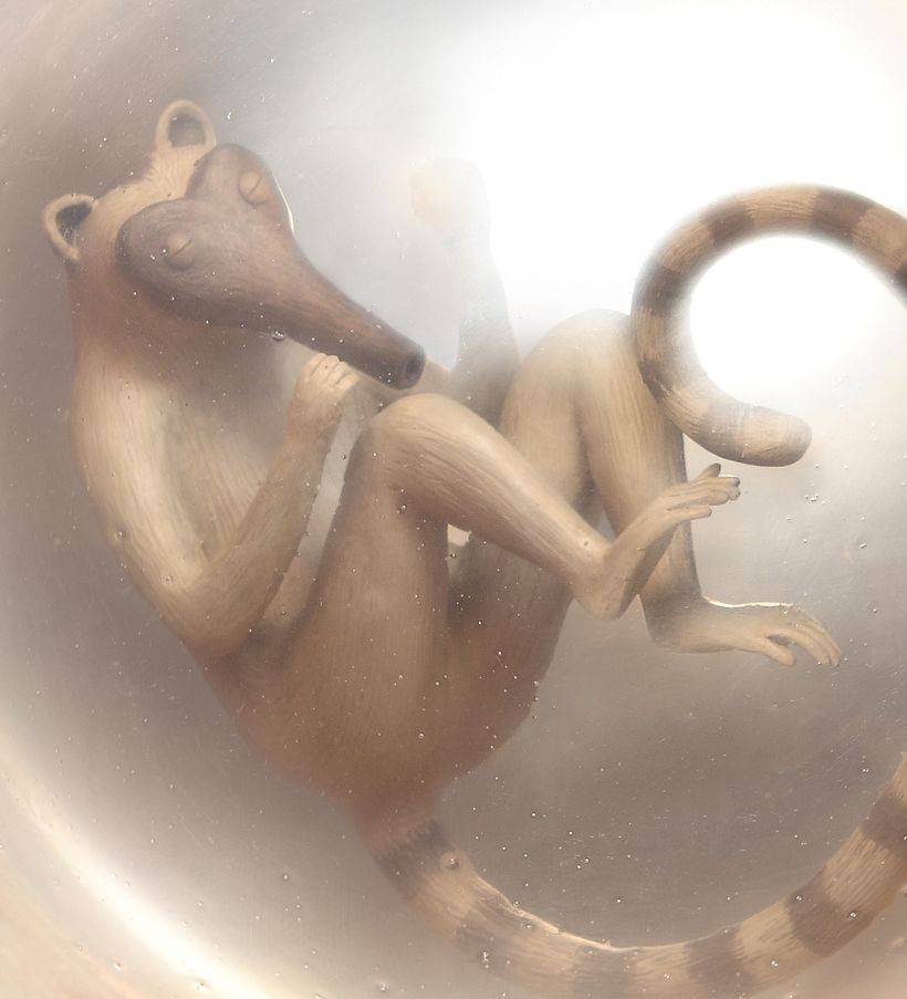 In vitro -1