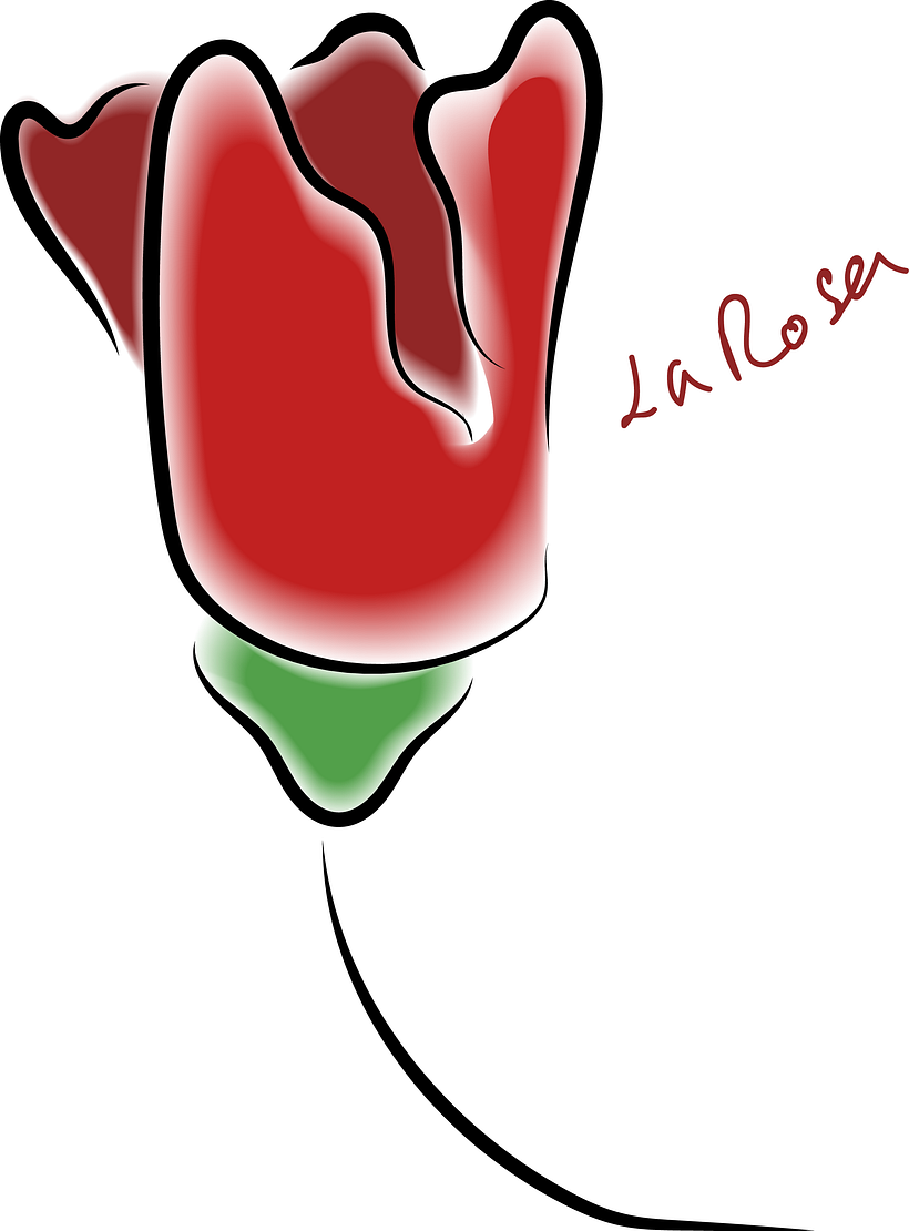 Progreso Curso de Ilustración 2