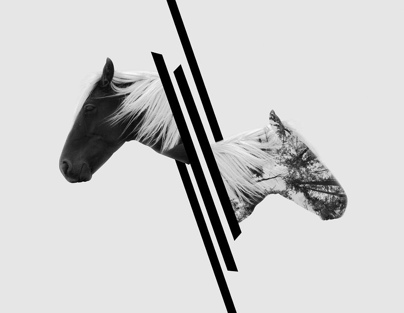 Two sides - Design