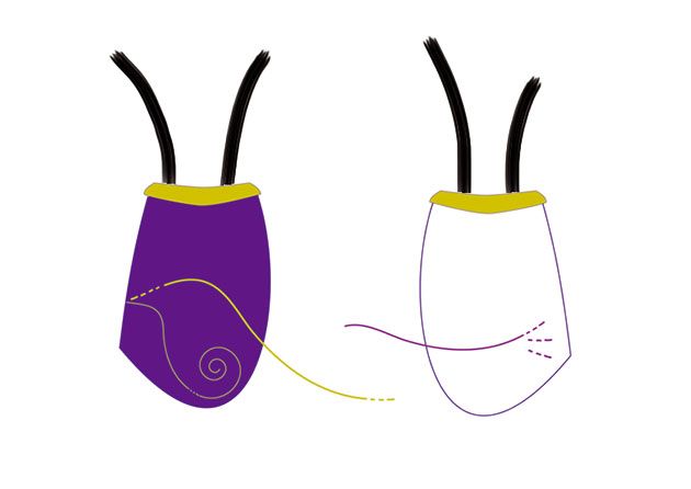 Línea Porque hoy es hoy 3