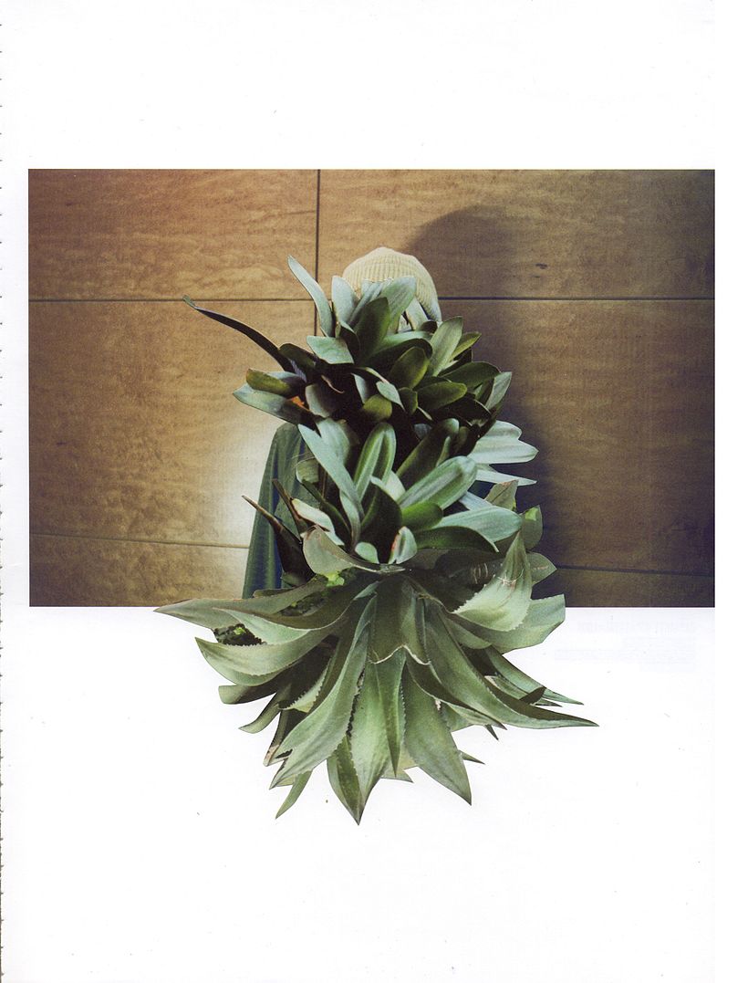 SOLO (Del lat. solus) 3