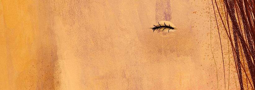 El sueño de Pandora 20