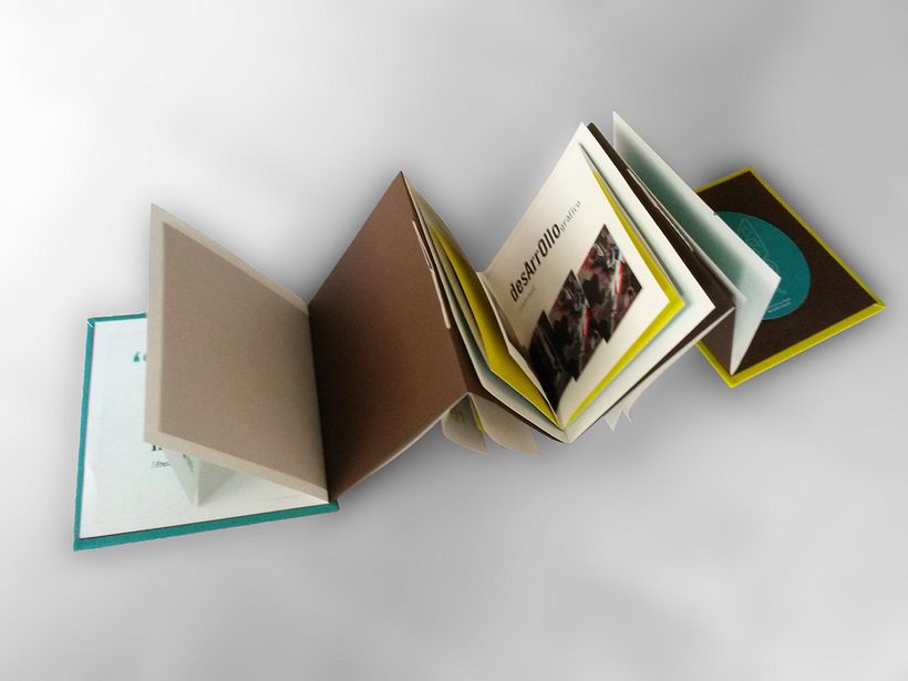 Insecta (Libro-Desplegable) 5