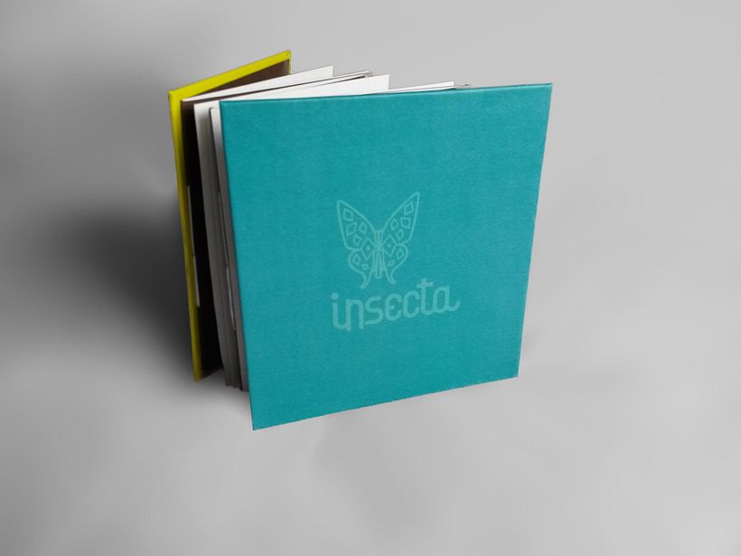 Insecta (Libro-Desplegable) 4