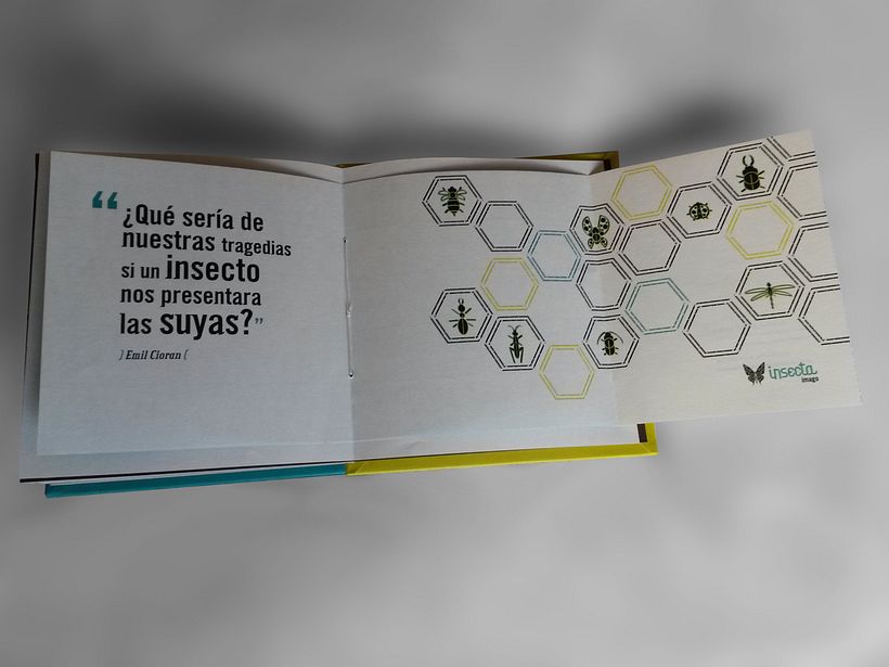 Insecta (Libro-Desplegable) 11