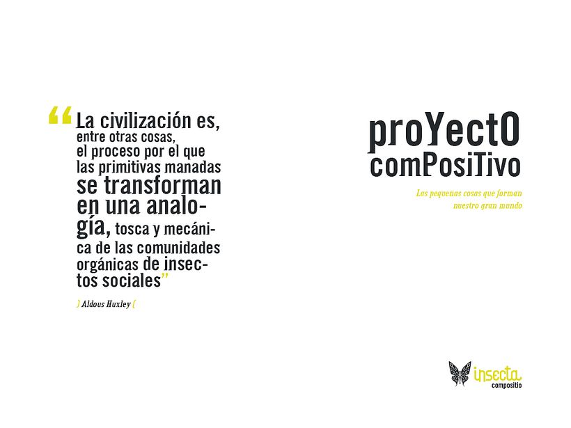 Insecta (Libro-Desplegable) 12