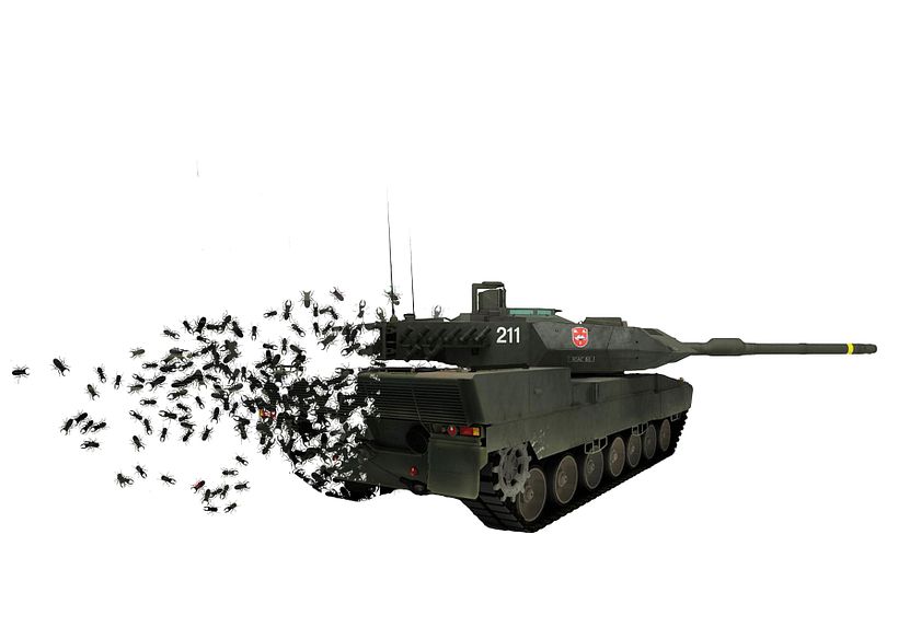 Insecta (Libro-Desplegable) 14