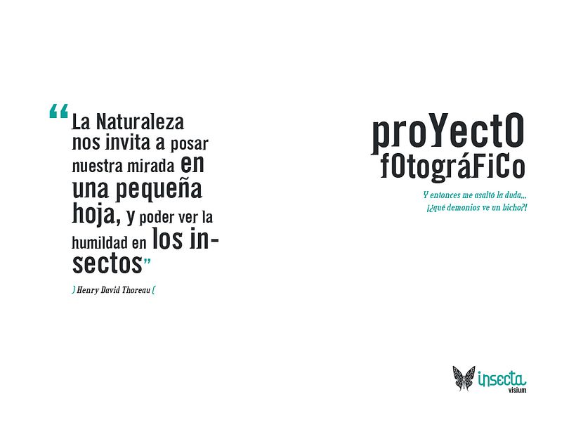 Insecta (Libro-Desplegable) 19