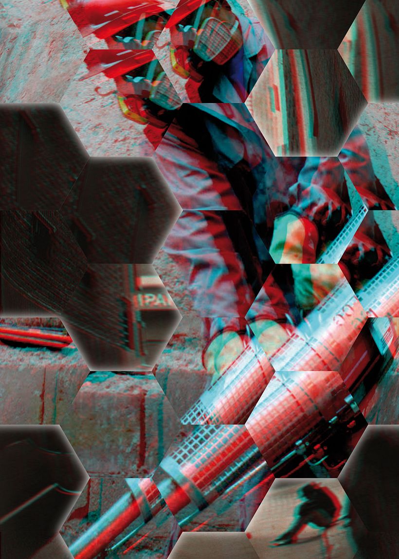 Insecta (Libro-Desplegable) 22