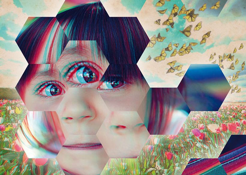 Insecta (Libro-Desplegable) 23