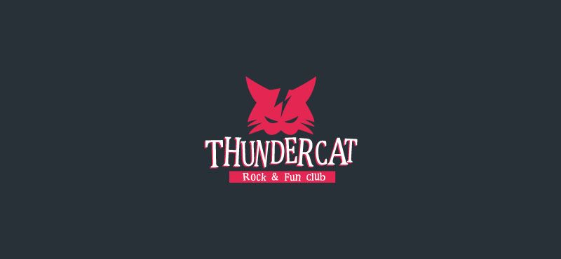 Thundercat 0