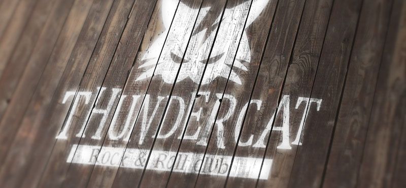 Thundercat 2