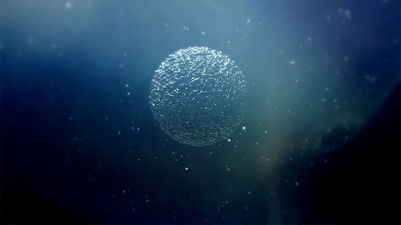 AXN BLACK ``FERROFLUIDS´´ / TV Channel Promos 8