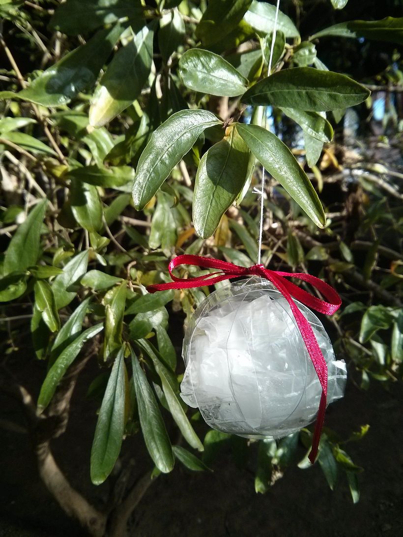 Reciclaje Navideño 2014 3