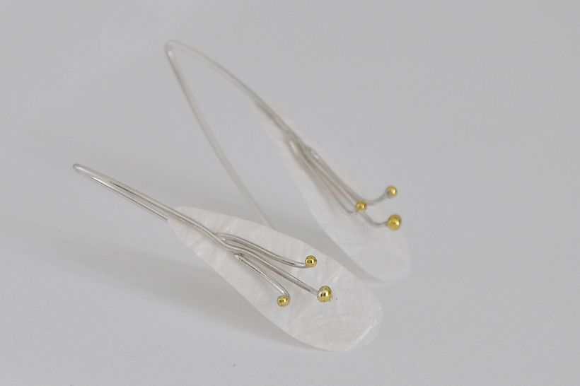 inflorescencia 1