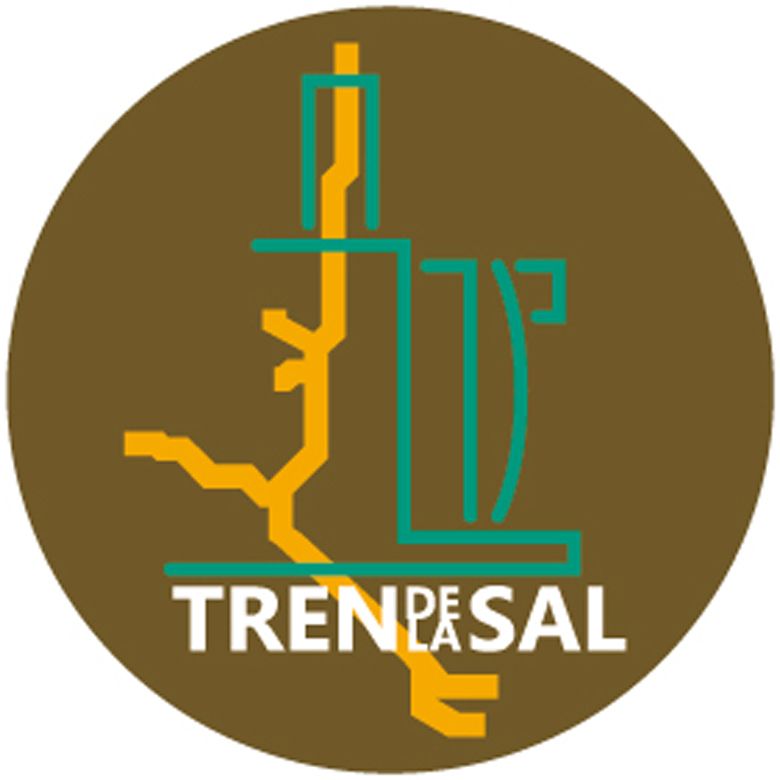 Tren de la Sal 1