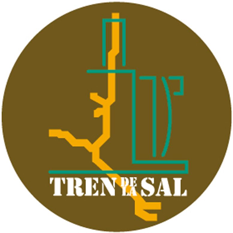 Tren de la Sal 2