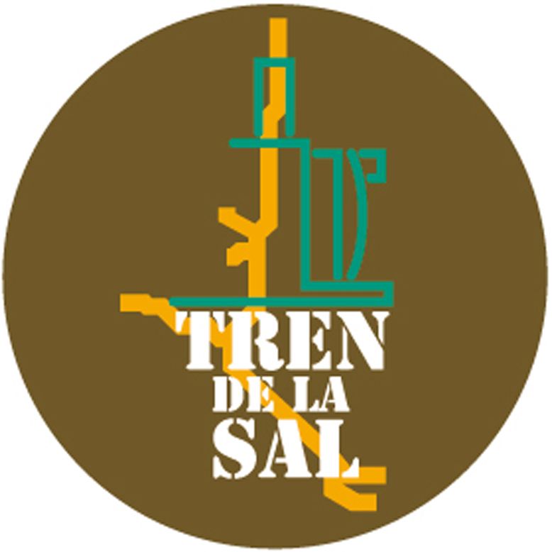 Tren de la Sal 3