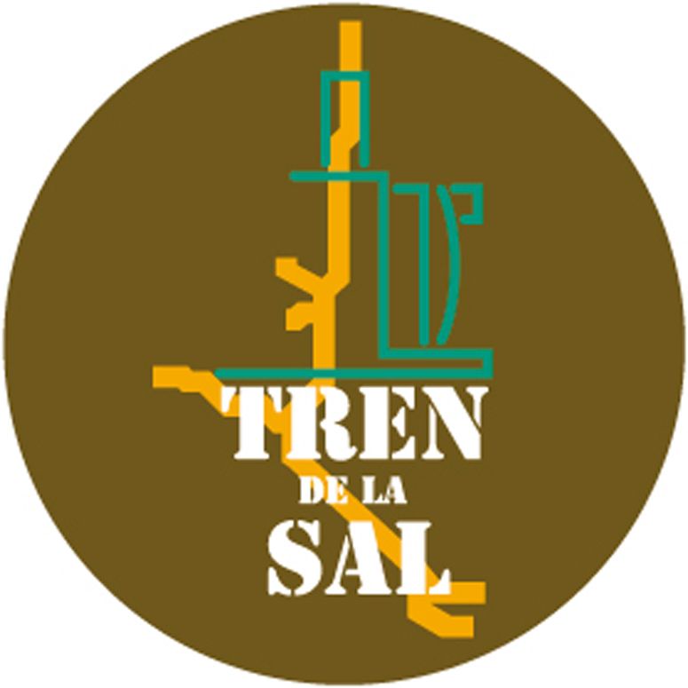 Tren de la Sal 4