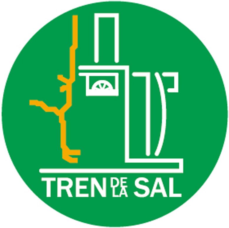Tren de la Sal 10