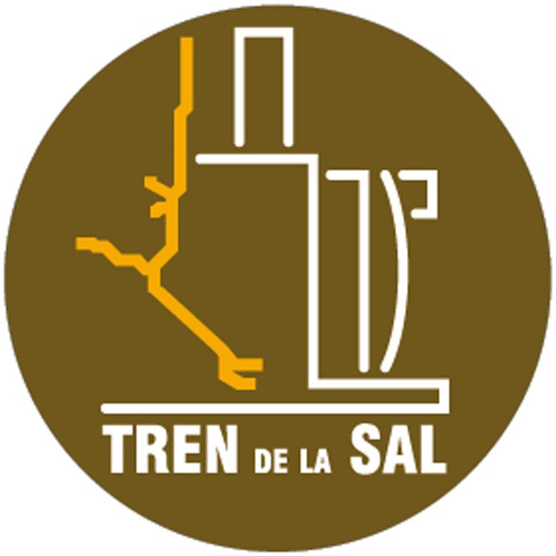 Tren de la Sal 11