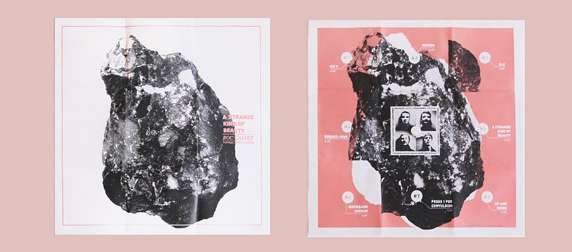 A Strange Kind Of Beauty de Roc Calvet 1