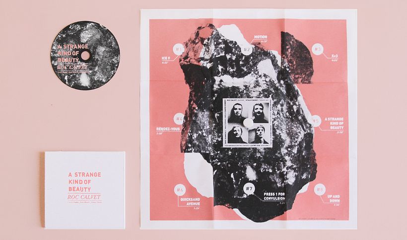 A Strange Kind Of Beauty de Roc Calvet 2