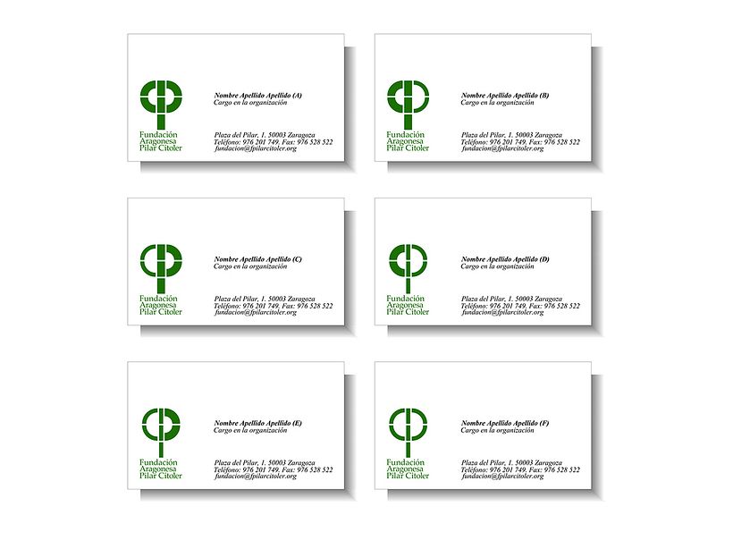 Fundación Pilar Citoler 2