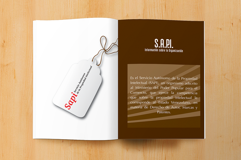 Manual informativo S.A.P.I. 3