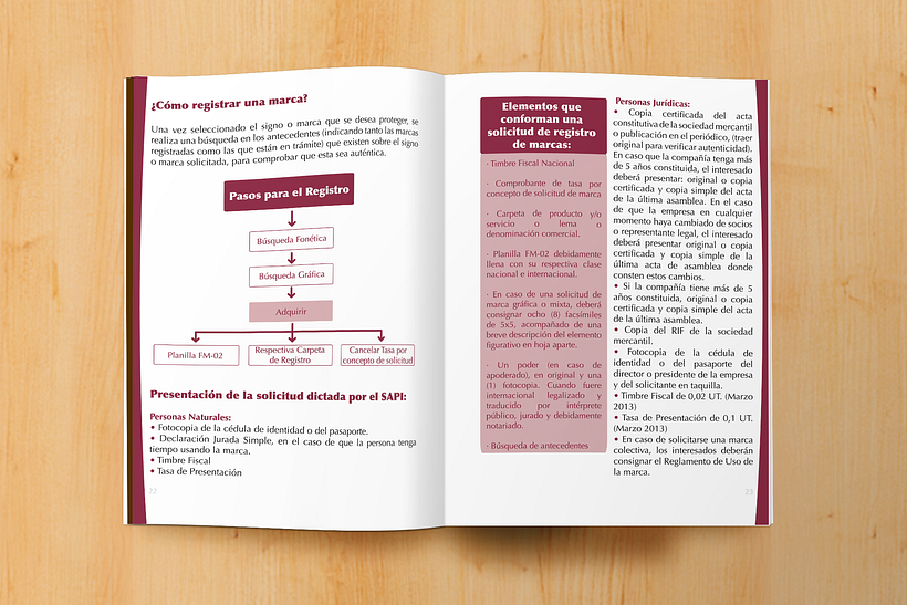Manual informativo S.A.P.I. 6