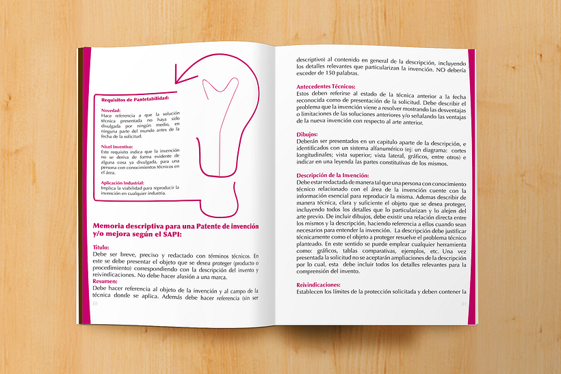 Manual informativo S.A.P.I. 8