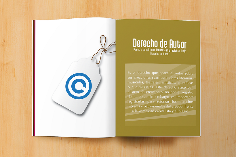 Manual informativo S.A.P.I. 9