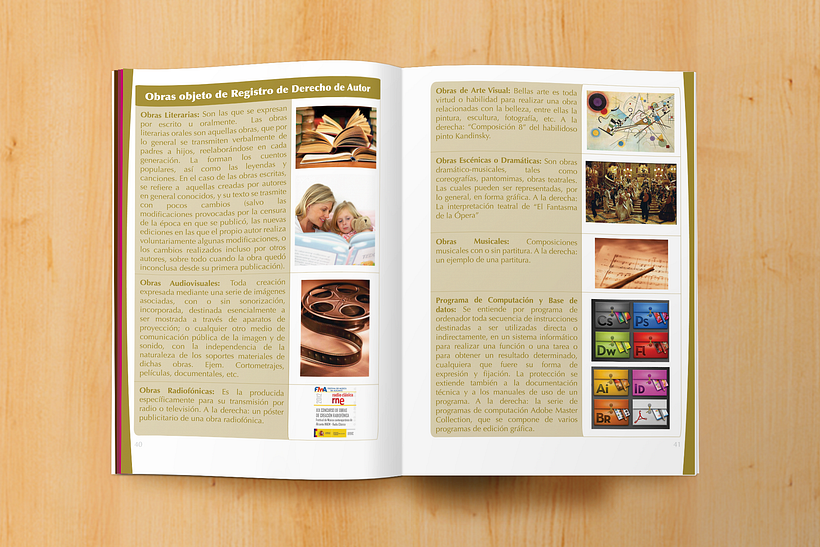 Manual informativo S.A.P.I. 10