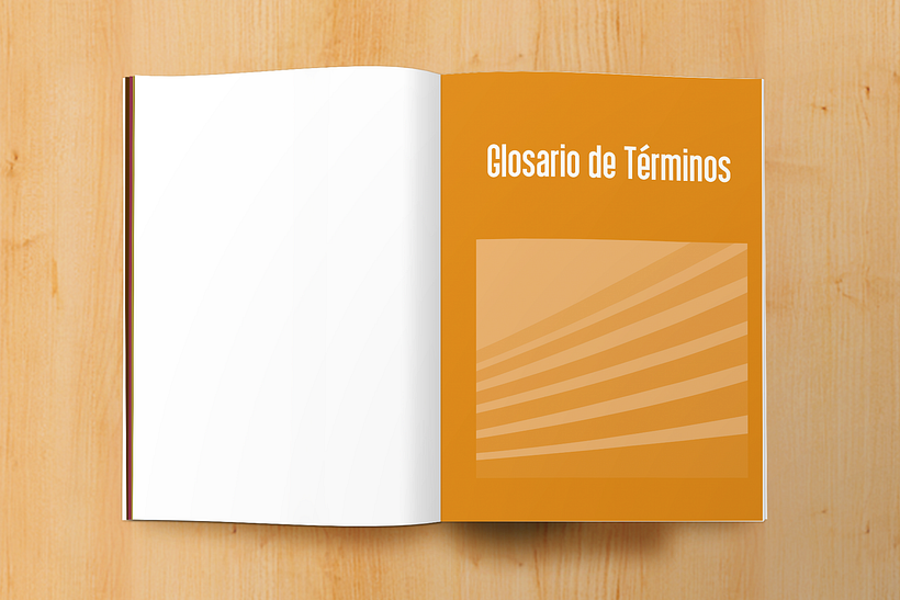 Manual informativo S.A.P.I. 11
