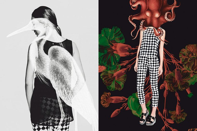 Jeu Poitrine SS2014 - Photographie