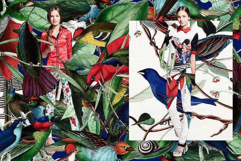 Jeu Poitrine SS2014 - Photographie
