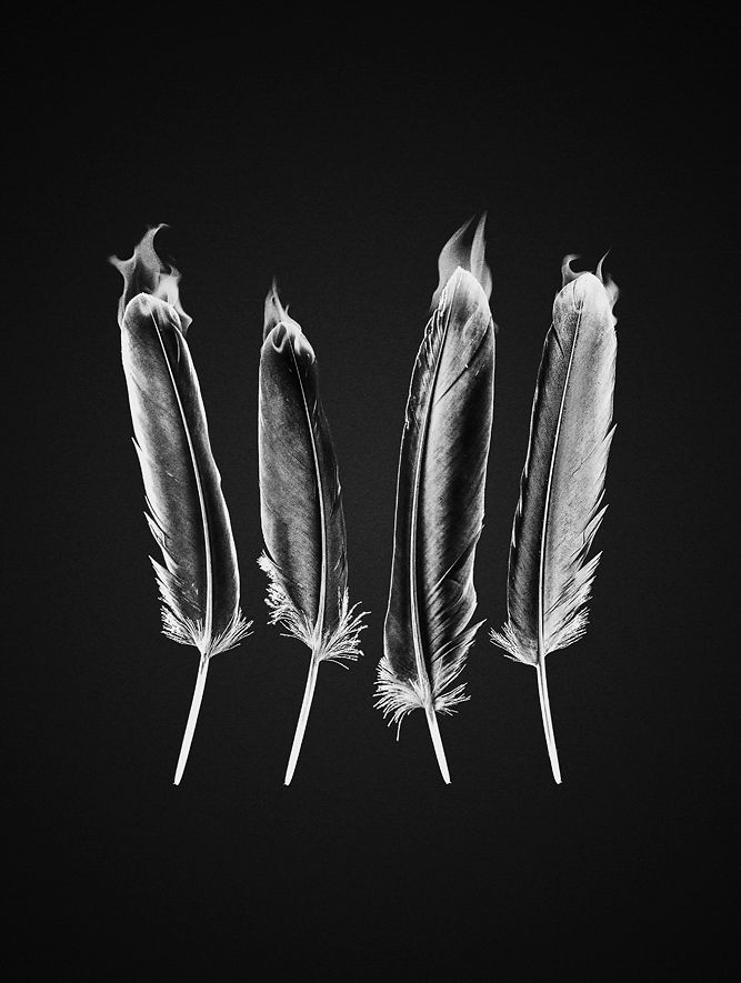 Maasai 0
