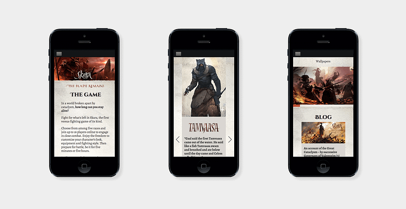 SKARA The Blade Remains. Web responsive 4