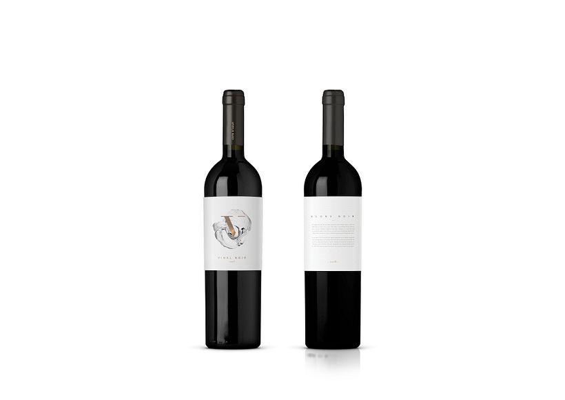 G L A R E   C E L L A R  5