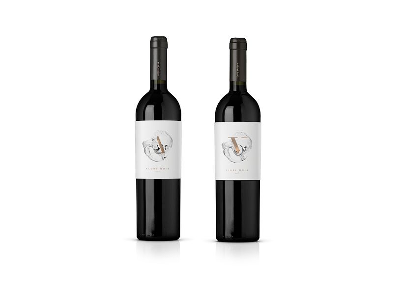 G L A R E   C E L L A R  6