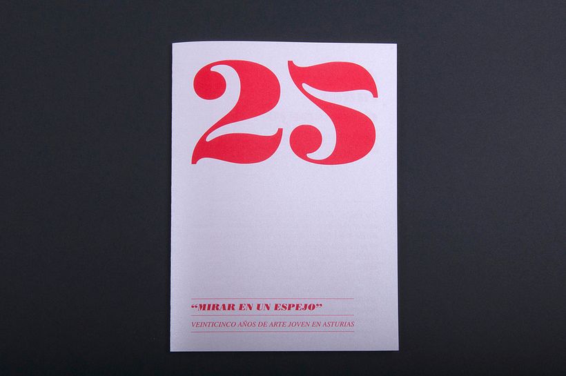 25 Aniversario Muestra de Artes Plásticas de Asturias 3