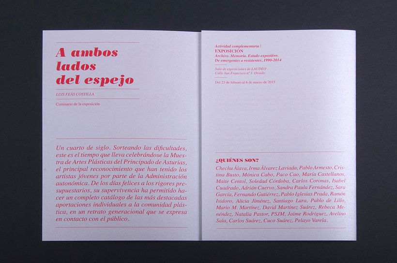 25 Aniversario Muestra de Artes Plásticas de Asturias 6