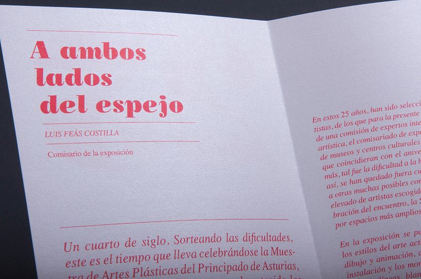 25 Aniversario Muestra de Artes Plásticas de Asturias 9