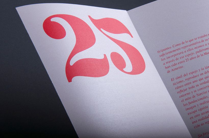 25 Aniversario Muestra de Artes Plásticas de Asturias 11