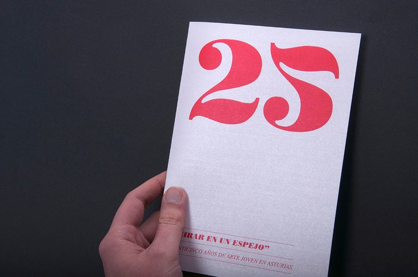 25 Aniversario Muestra de Artes Plásticas de Asturias 12