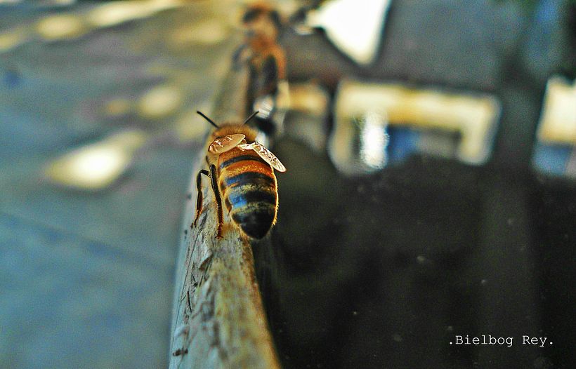 . Naturaleza. 3