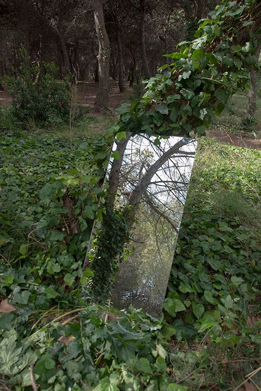 Self-constructed realities 1