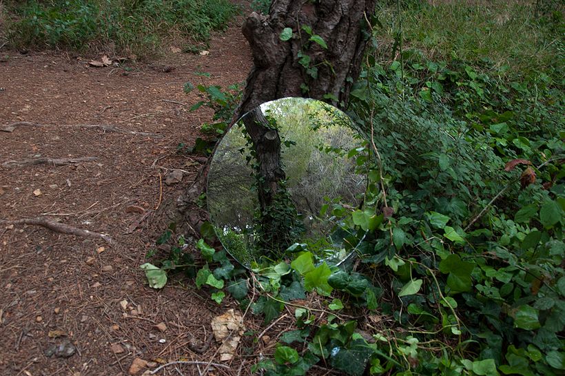 Self-constructed realities 4