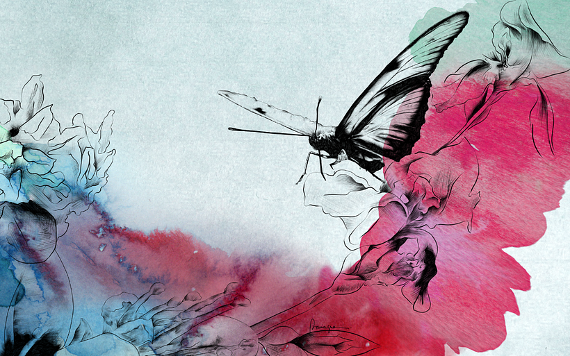 Butterfly 2