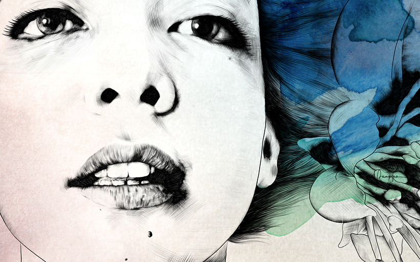 Butterfly 1